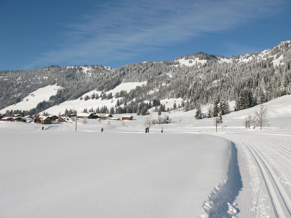 Alpenroesle Balderschwang
